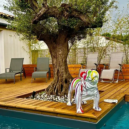 Lincontournable - Jaccuzi-piscine-sauna-hammam فيلة شلانس